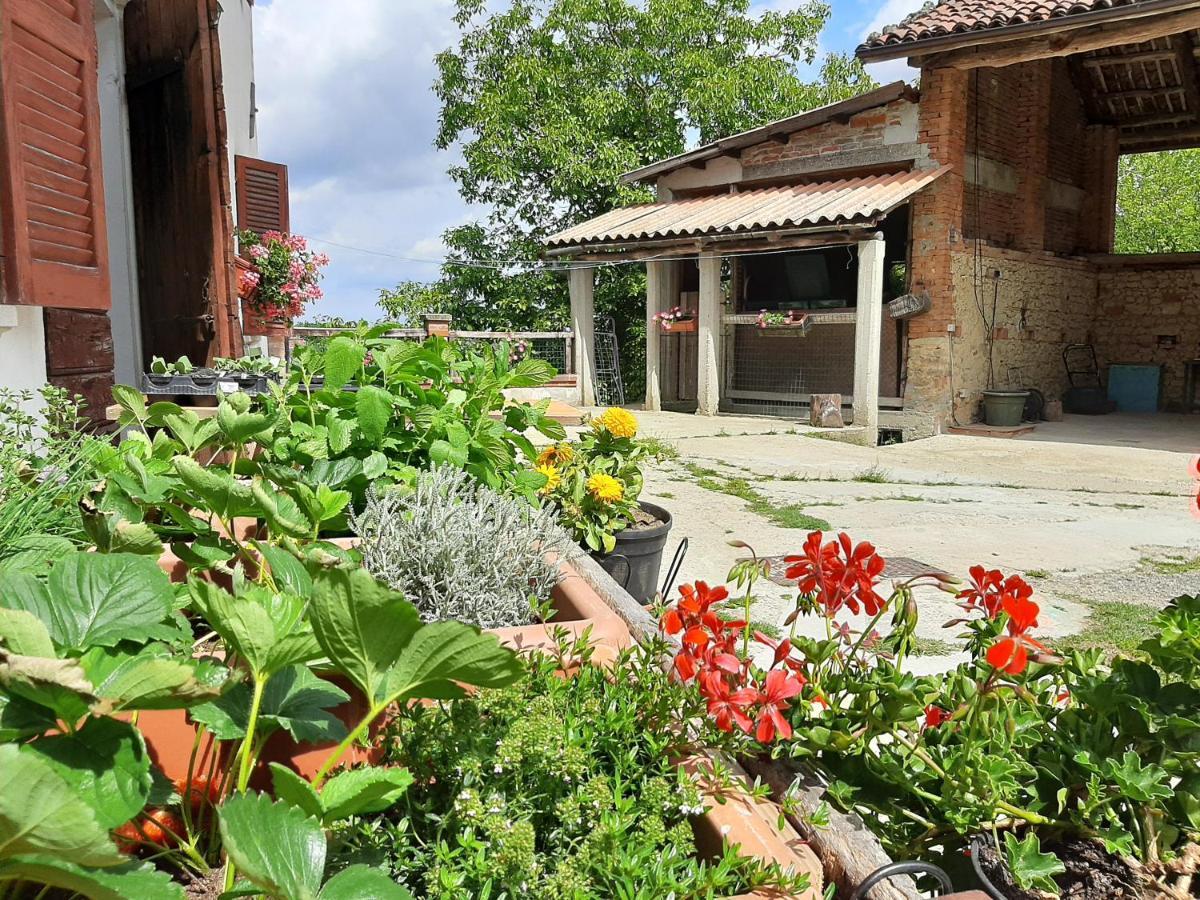 Cascina Teresina Monferrato Piscina Villa Cortazzone Exterior foto